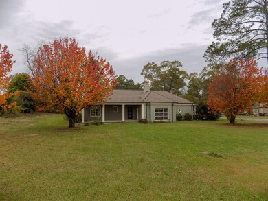 155 Eighth St, Helena, GA 31037 - photo 2