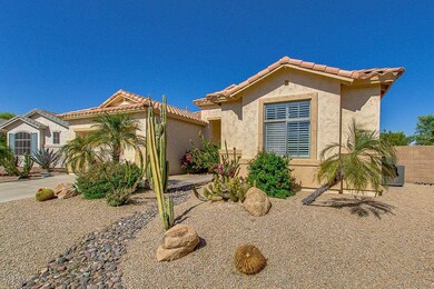 Front Yard - Desert Landscaping