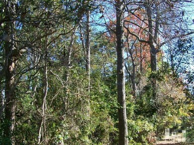 7312 Mason Landing Rd, Ogden, NC 28411 - photo 5