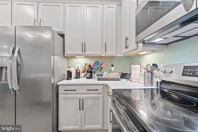 2738 Duvall Ridge Rd unit 452, Hyattsville, MD 20785 - photo 6