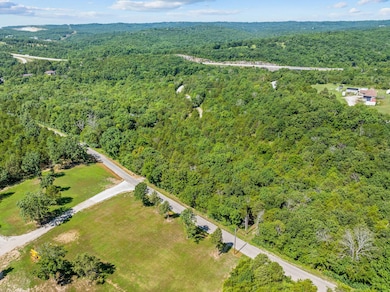 000 Newport, Walnut Shade, MO 65771 - photo 5