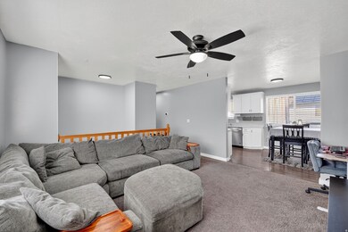Living area featuring a ceiling fan, dark colored carpet, a textured ceiling, and dark wood-style flooring.