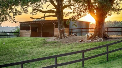 2407-A Diggs Rd, Knoxville, TN 37932 - photo 7