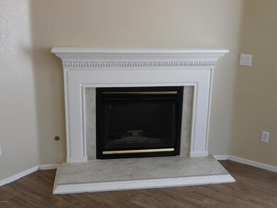 LR Fireplace