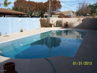 Large backyard pool