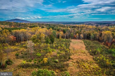 0 Whorton Hollow Rd, Castleton, VA 22716 - photo 5