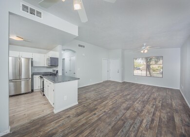 Kitchen/Living Area