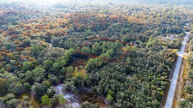 0 Rose Bloom Lot 5 Ave, Webster, FL 33597 - photo 7