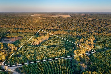 1503 Open Creek Rd unit North Lot, Chipley, FL 32425 - photo 7