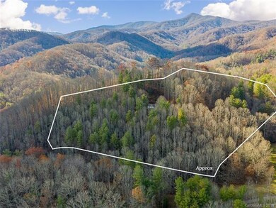 695 Briar Ridge Rd, Burnsville, NC 28714 - photo 4