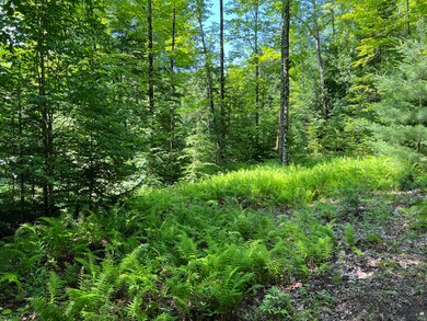 0 Morgan Meadows Dr, Gray, ME 04039 - photo 6