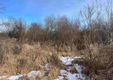 000 Grapevine Ave, Tomah, WI 54660 - photo 6