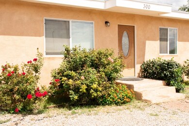 300 N Canyon Rd, Alamogordo, NM 88310 - photo 4