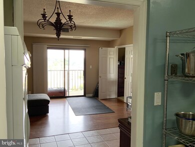 Lakeside Plaza Condominium unit PH26, Baileys Crossroads, VA 22041 - photo 4