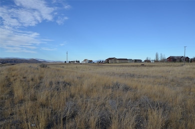 View of local wilderness