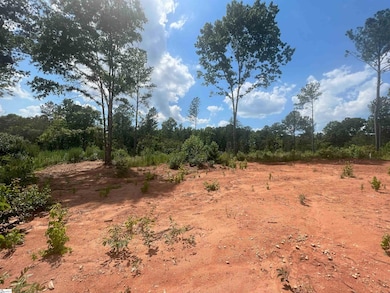 00 Casey Rd, Woodruff, SC 29388 - photo 5