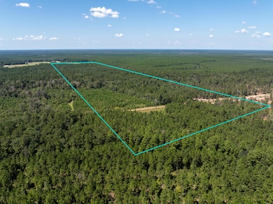 0 Beehive Loop, Singer, LA - photo 5