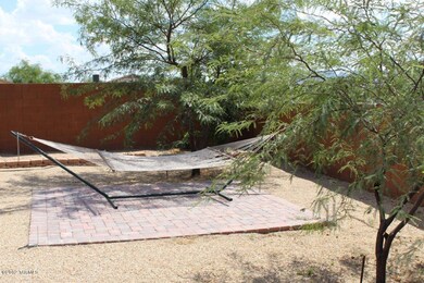 Backyard2