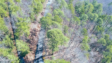dji_fly_20250214_103750_430_173954747863