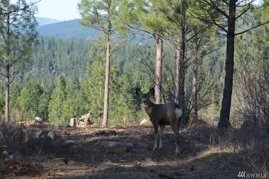 171 Big Hill Dr, Cle Elum, WA 98922 - photo 2