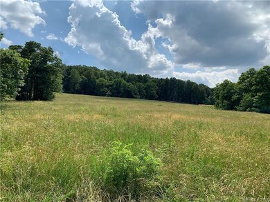 13 ac Johnson Farm Rd, Hiddenite, NC 28636 - photo 2