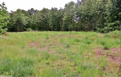 Lot 6 Cr 7612, Brookland, AR 72417 - photo 2