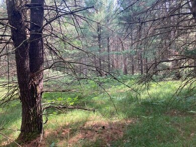 4825 W 8th St, Baldwin, MI 49304 - photo 4