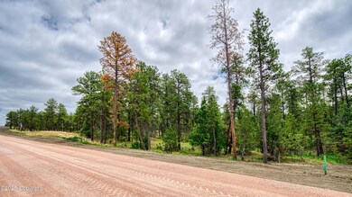 10 E Pine St, Pine Haven, WY 82721 - photo 7