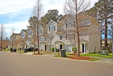 Sidewalk Lined Streets