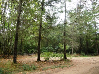 0 SW Laurelwood Rd, Gaston, OR 97119 - photo 5