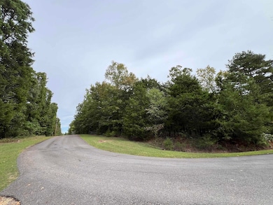 137 Shore Dr, Shirley, AR 72153 - photo 2