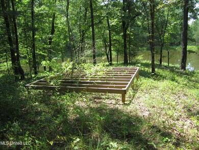 0 Mitchell Duke Rd, Pontotoc, MS 38863 - photo 5