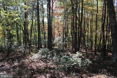 40.00 AC Shenandoah Mountain Rd, Mathias, WV 26812 - photo 6
