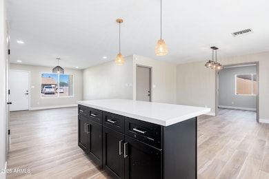 1805 W Cheyenne Dr - 11