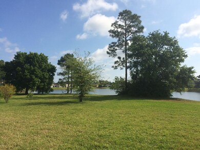 2015-03-17 10.46.39.jpg