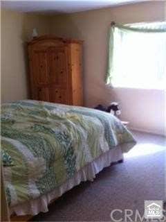 Downstairs bedroom