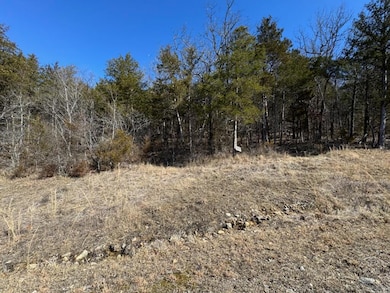 56 Ranch Rd, Saddlebrooke, MO 65630 - photo 6