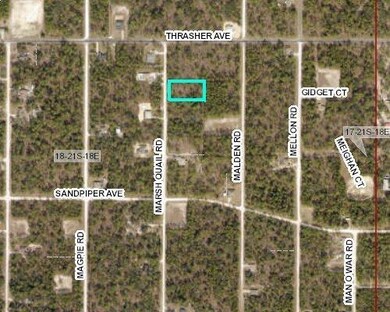 Marsh Quail Rd 5