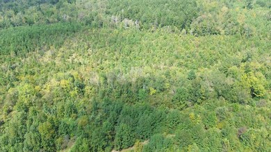 256 Cr1816, Louin, MS 39338 - photo 7