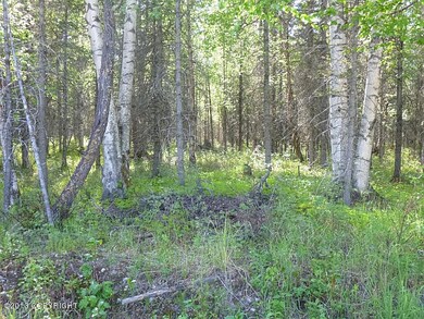 Healthy Trees inside Brow Tine Parcel