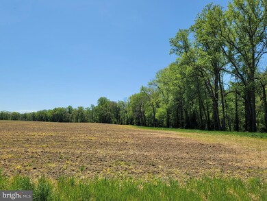 732 Clannihan Shop Rd, Church Hill, MD 21623 - photo 2