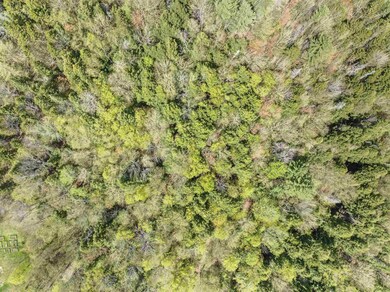 932 Mud City Loop, Morristown, VT 05661 - photo 4