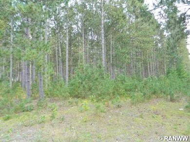 0 N Black Brook Rd unit 895453, Webster, WI 54893 - photo 5