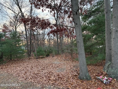 3 Swift Cir unit D, Manchester Township, NJ 08759 - photo 4