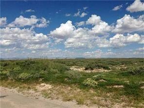 2051 Ascension Dr, Clint, TX 79836 - photo 4