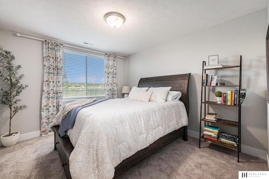 11976 S 118th Ave, Papillion, NE 68046 - photo 7