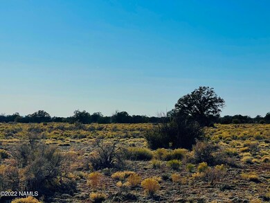 4117 Red Butte Rd unit Lot B, Williams, AZ 86046 - photo 5