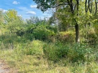 0 Eagle Ave, Wheeling, WV 26003 - photo 7