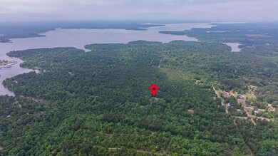 Aerial view of a heavily wooded area and a nearby 