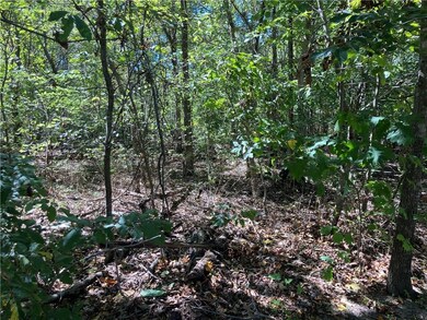 0 Dulverton Dr, Bella Vista, AR 72715 - photo 4